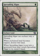Spreading Algae