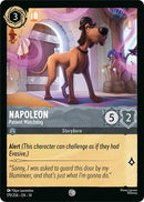 Napoleon - Patient Watchdog