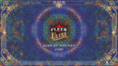 2026-27 Upper Deck Fleer Ultra Hockey Hobby Box (Pre Order)