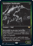 Ascendant Packleader [DBL - 453] - Cartes Sportives Rive Sud