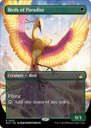 Birds of Paradise (Anime Borderless) [RVR - 432] - Cartes Sportives Rive Sud