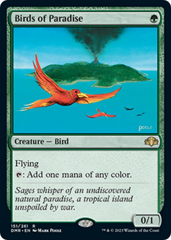 Birds of Paradise [DMR - 151] - Cartes Sportives Rive Sud
