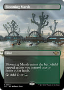 Blooming Marsh (Borderless) [OTJ - 300] - Cartes Sportives Rive Sud