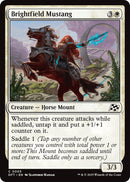 Brightfield Mustang [DFT - 5] - Cartes Sportives Rive Sud