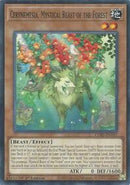 Cerynemesia, Mystical Beast of the Forest [CORI - CORI-EN087] - Cartes Sportives Rive Sud