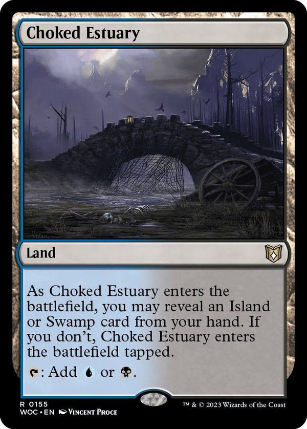 Choked Estuary [WOC - 155] - Cartes Sportives Rive Sud