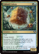 Cuboid Colony [SOS - 183] - Cartes Sportives Rive Sud