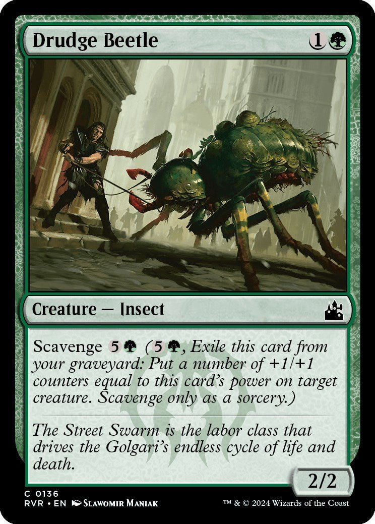 Drudge Beetle [RVR - 136] - Cartes Sportives Rive Sud
