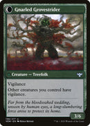 Dormant Grove (Back)