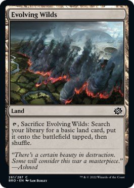 Evolving Wilds [BRO - 261] - Cartes Sportives Rive Sud