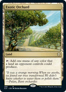 Exotic Orchard [C21 - 288] - Cartes Sportives Rive Sud