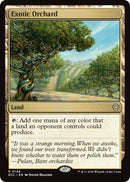 Exotic Orchard [ECC - 148] - Cartes Sportives Rive Sud