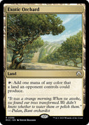 Exotic Orchard [MOC - 398] - Cartes Sportives Rive Sud