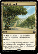 Exotic Orchard [OTC - 293] - Cartes Sportives Rive Sud