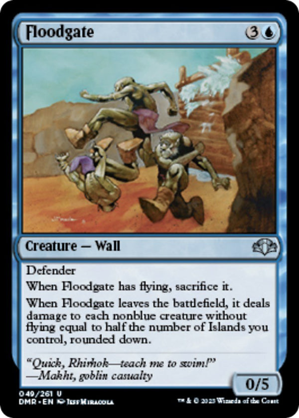 Floodgate [DMR - 49] - Cartes Sportives Rive Sud