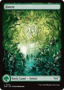 Forest (0276) - Full Art [DSK - 276] - Cartes Sportives Rive Sud