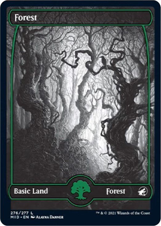 Forest (276) [MID - 276] - Cartes Sportives Rive Sud