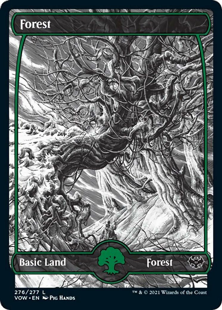Forest (276) [VOW - 276] - Cartes Sportives Rive Sud