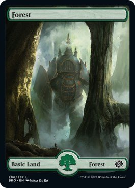 Forest (286) - Full Art [BRO - 286] - Cartes Sportives Rive Sud