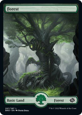Forest (287) - Full Art [BRO - 287] - Cartes Sportives Rive Sud