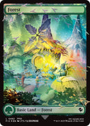 Forest (Chocobo Track Foil) [FIC - 482] - Cartes Sportives Rive Sud