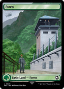 Forest [REX - 25] - Cartes Sportives Rive Sud