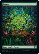 Forest (Showcase) [DMU - 281] - Cartes Sportives Rive Sud
