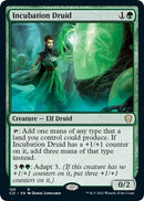 Incubation Druid [C21 - 195] - Cartes Sportives Rive Sud