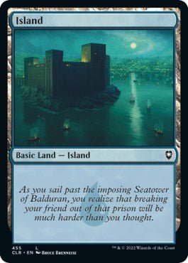 Island (455) [CLB - 455] - Cartes Sportives Rive Sud
