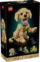 Lego Icons Golden Retriever Puppy (2102 Pieces) 11384 - Cartes Sportives Rive Sud