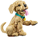 Lego Icons Golden Retriever Puppy (2102 Pieces) 11384 - Cartes Sportives Rive Sud