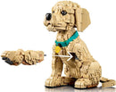 Lego Icons Golden Retriever Puppy (2102 Pieces) 11384 - Cartes Sportives Rive Sud