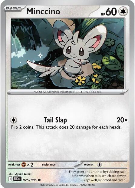 Minccino [BLK - 075/086] - Cartes Sportives Rive Sud