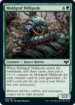Moldgraf Millipede [VOW - 209] - Cartes Sportives Rive Sud