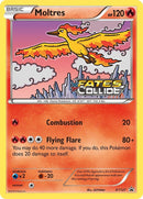 Moltres (Prerelease) [PR - XY127] - Cartes Sportives Rive Sud