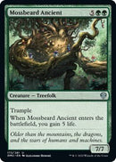 Mossbeard Ancient [DMU - 173] - Cartes Sportives Rive Sud