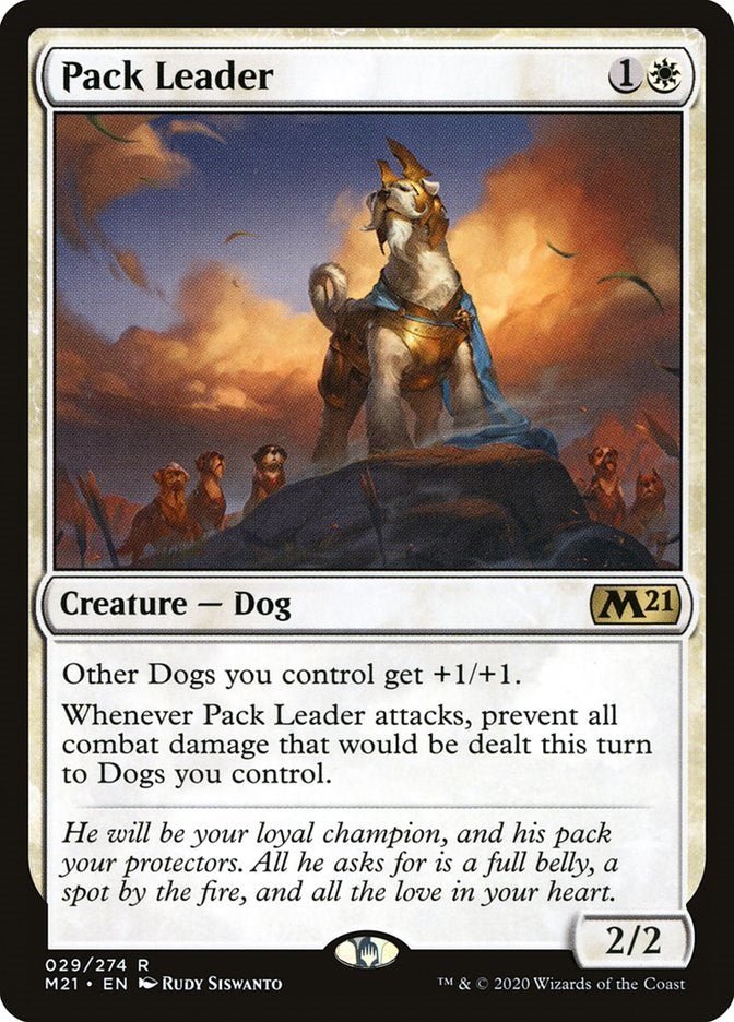 Pack Leader [M21 - 29] - Cartes Sportives Rive Sud