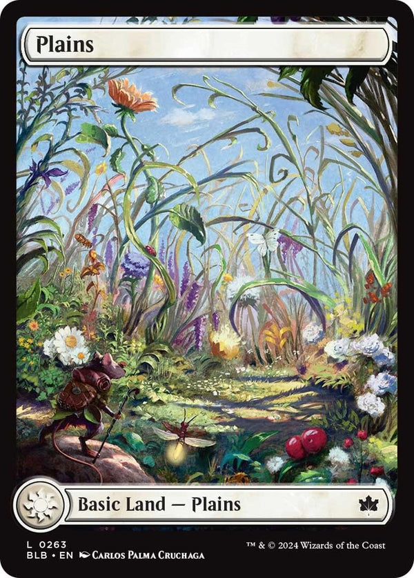 Plains (0263) [BLB - 263] - Cartes Sportives Rive Sud