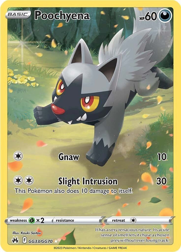Poochyena [CRZ:GG - GG33/GG70] - Cartes Sportives Rive Sud