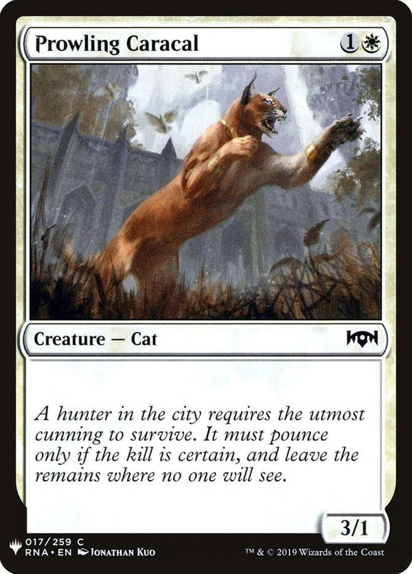 Prowling Caracal [LIST - 17] - Cartes Sportives Rive Sud