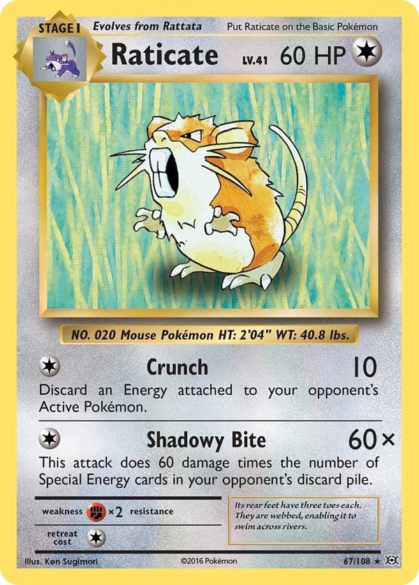 Raticate [EVO - 67/108] - Cartes Sportives Rive Sud