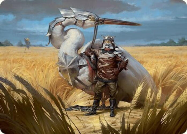 Skyknight Squire Art Card (4/54) [ASFDN - 4] - Cartes Sportives Rive Sud