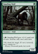 Snarling Wolf [MID - 199] - Cartes Sportives Rive Sud