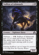 Stallion of Ashmouth [SOI - 136] - Cartes Sportives Rive Sud