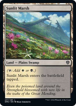 Sunlit Marsh [DMU - 257] - Cartes Sportives Rive Sud