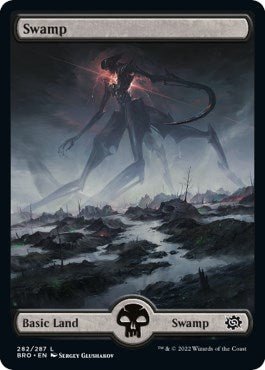 Swamp (282) - Full Art [BRO - 282] - Cartes Sportives Rive Sud