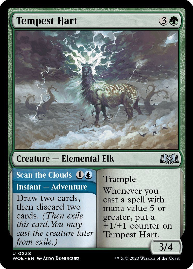 Tempest Hart [WOE - 238] - Cartes Sportives Rive Sud
