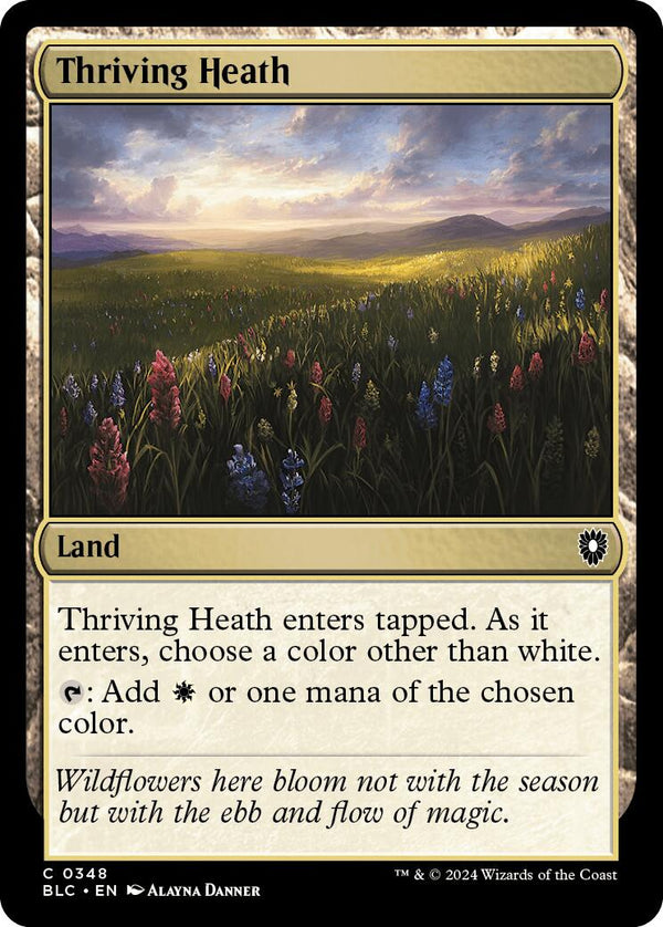Thriving Heath [BLC - 348] - Cartes Sportives Rive Sud