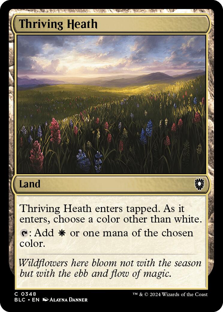 Thriving Heath [BLC - 348] - Cartes Sportives Rive Sud