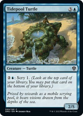 Tidepool Turtle [DMU - 69] - Cartes Sportives Rive Sud